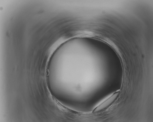 X0000062851488200601201650