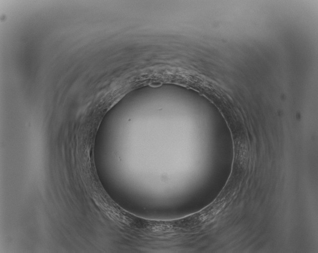 X0000062851489200601201650