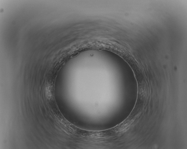 X0000062851490200601201650