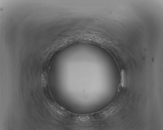 X0000062851491200601201650