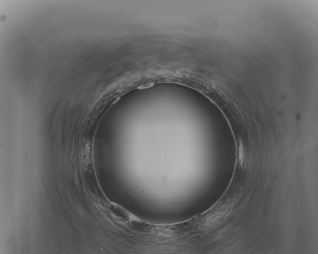 X0000062851492200601201650