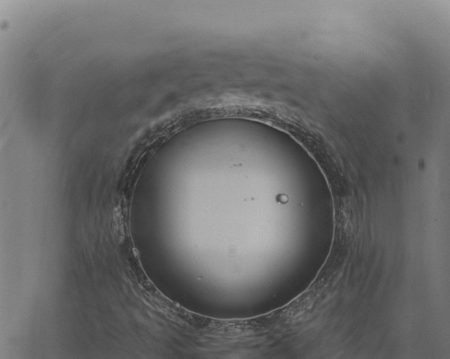 X0000062851493200601201650