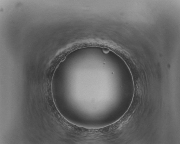 X0000062851494200601201650