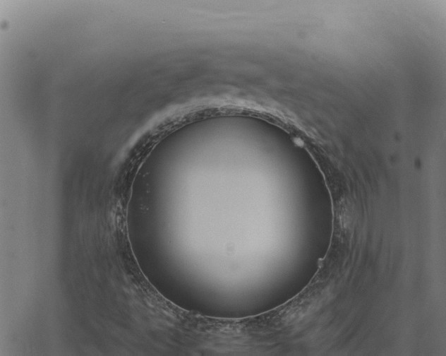 X0000062851495200601201650