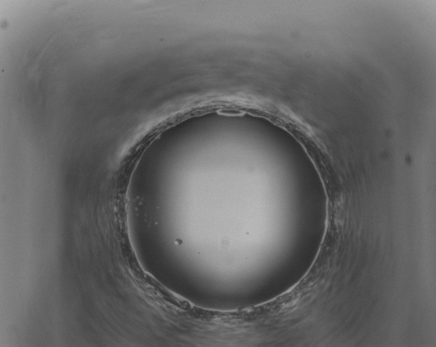 X0000062851496200601201650