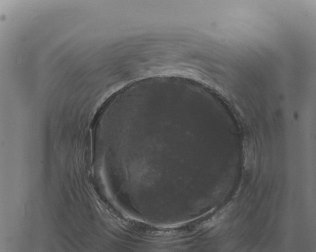 X0000062851497200601201650