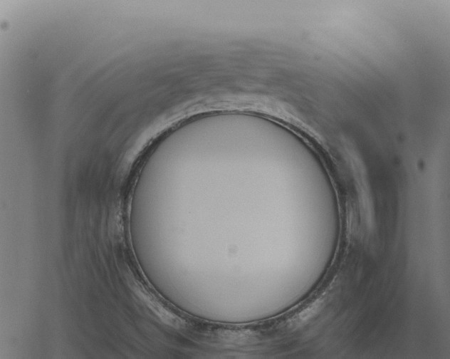 X0000062851498200601201650