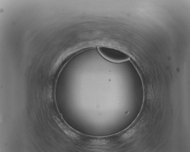 X0000062851499200601201650