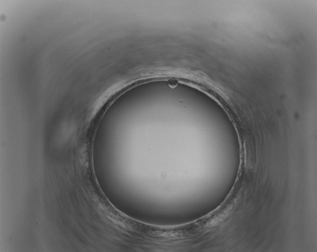 X0000062851501200601201650