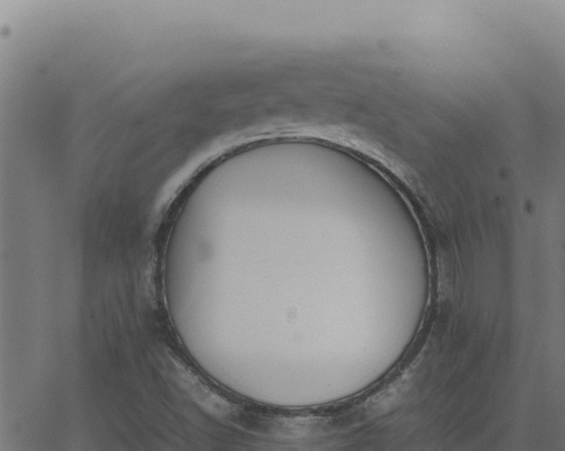 X0000062851502200601201650