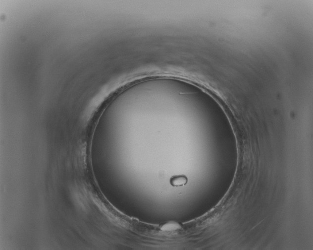 X0000062851503200601201650