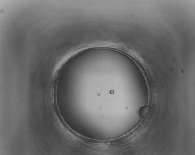 X0000062851504200601201650