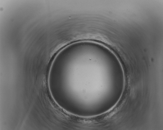 X0000062851505200601201650