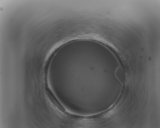 X0000062851506200601201650