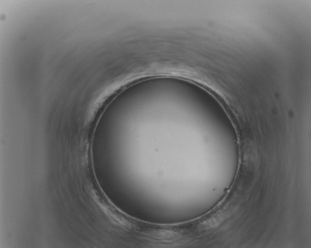 X0000062851507200601201650