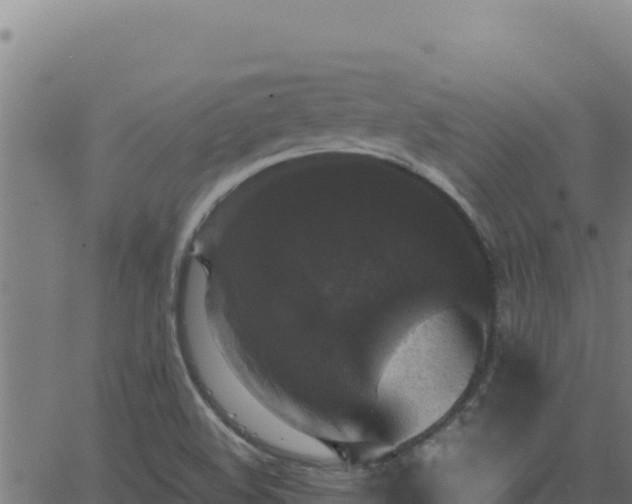 X0000062851508200601201650