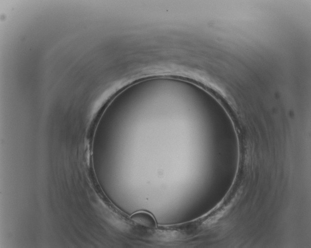 X0000062851509200601201650