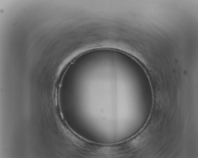 X0000062851510200601201650