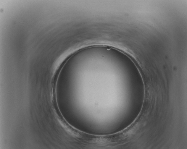 X0000062851511200601201650