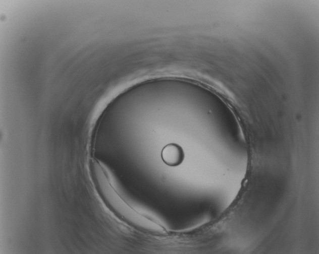 X0000062851512200601201650