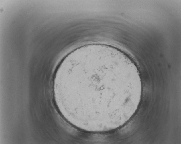 X0000062851514200601201650