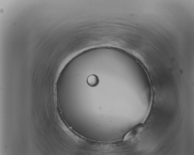 X0000062851516200601201650