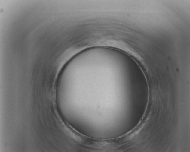 X0000062851517200601201650