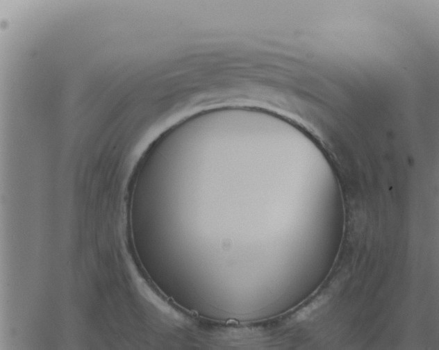 X0000062851518200601201650