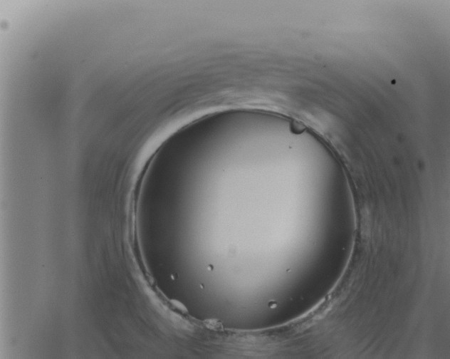 X0000062851520200601201650