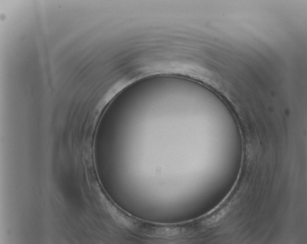 X0000062851521200601201650