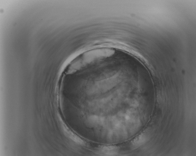 X0000062851522200601201650