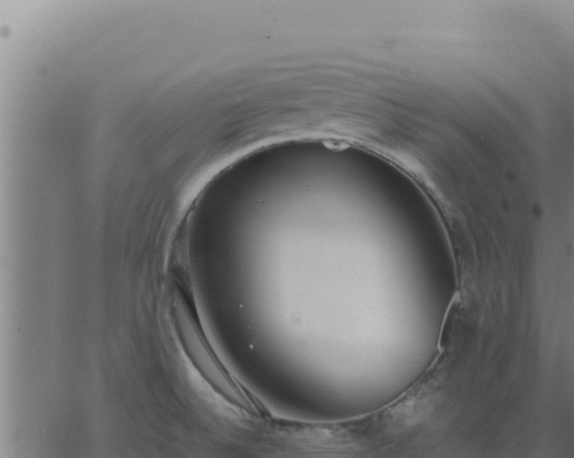 X0000062851524200601201650