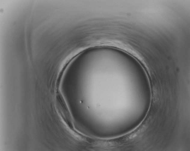 X0000062851525200601201650