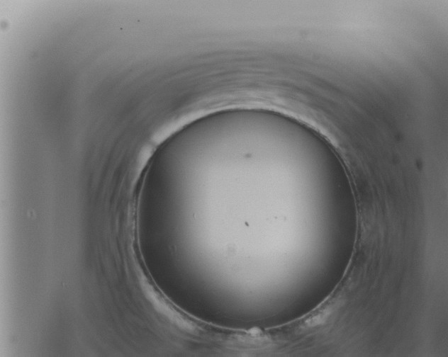 X0000062851526200601201650