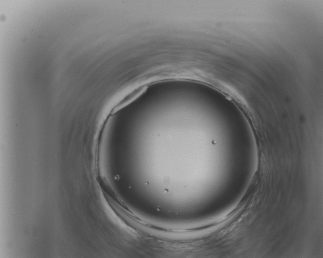 X0000062851528200601201650