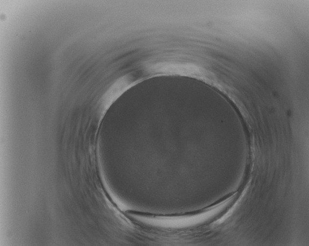 X0000062851529200601201650