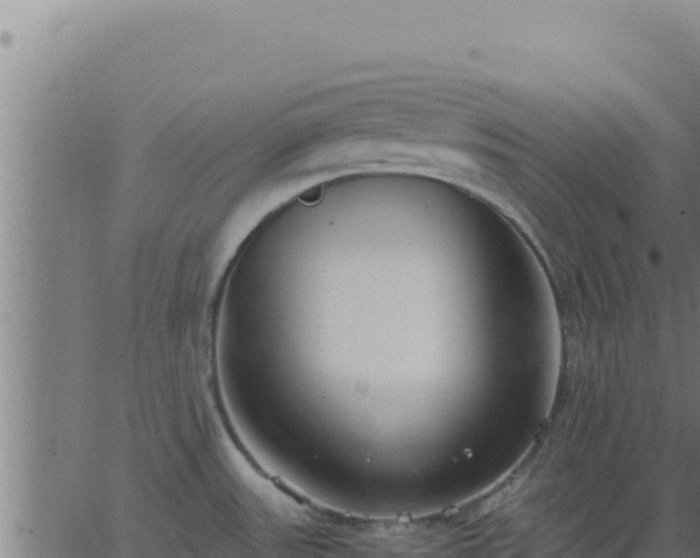 X0000062851531200601201650