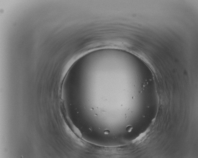 X0000062851532200601201650