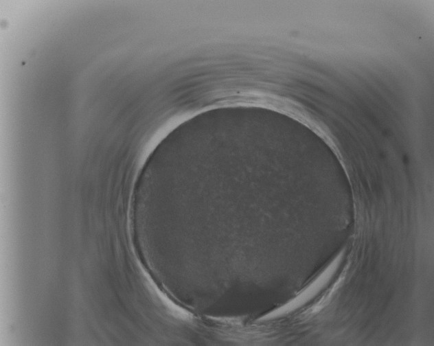 X0000062851533200601201650