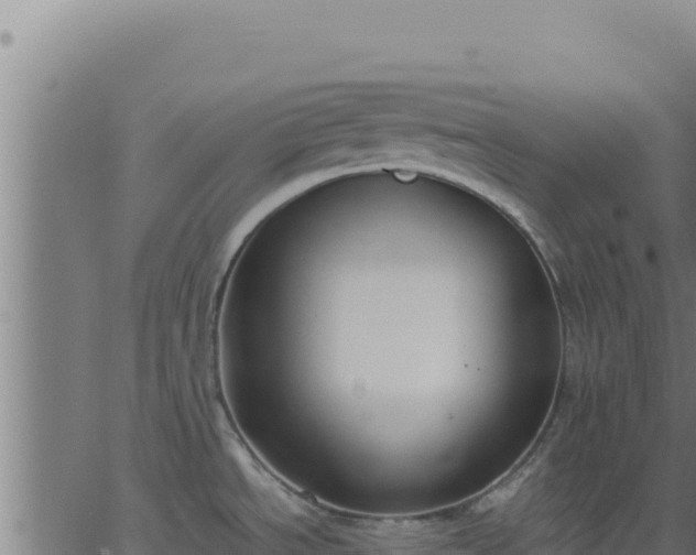 X0000062851534200601201650