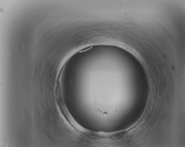 X0000062851536200601201650