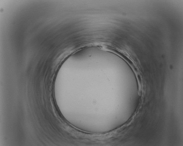 X0000062850001200601272053