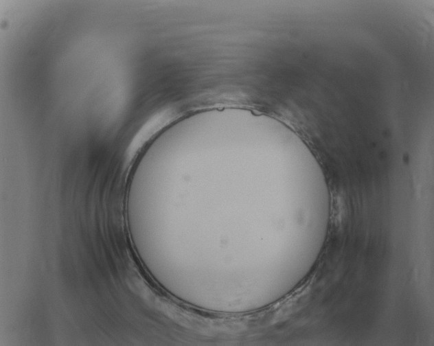 X0000062850004200601272053