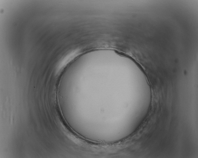 X0000062850005200601272053