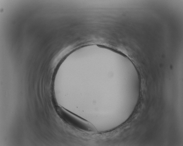 X0000062850007200601272053