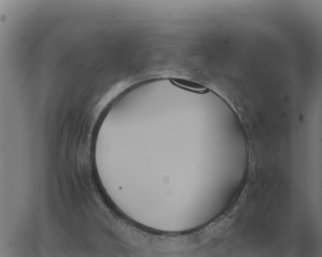 X0000062850008200601272053