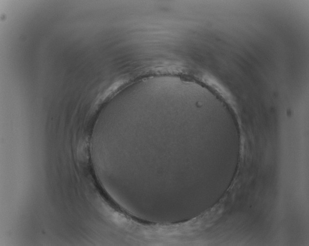 X0000062850009200601272053