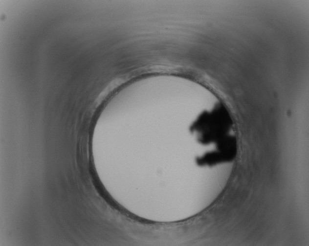 X0000062850011200601272053