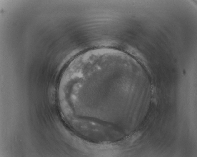 X0000062850012200601272053