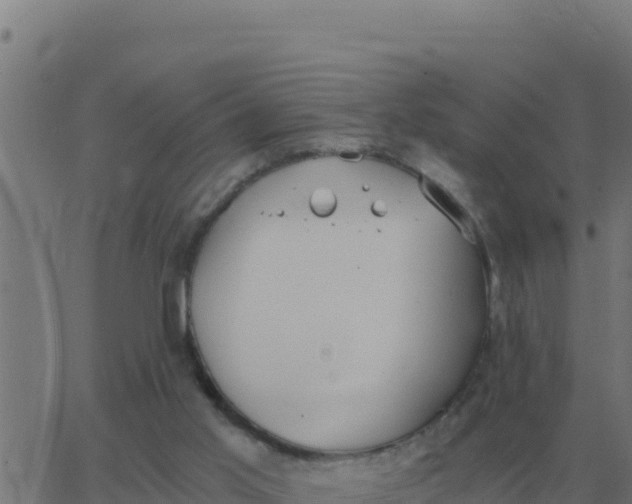 X0000062850013200601272053